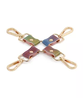 Spectra Bondage Hogtie Rainbow