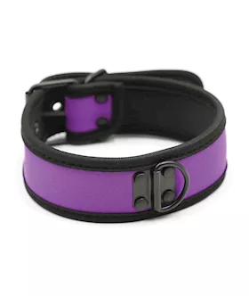 Plesur Neoprene Puppy Collar  Purple